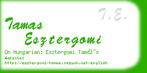 tamas esztergomi business card